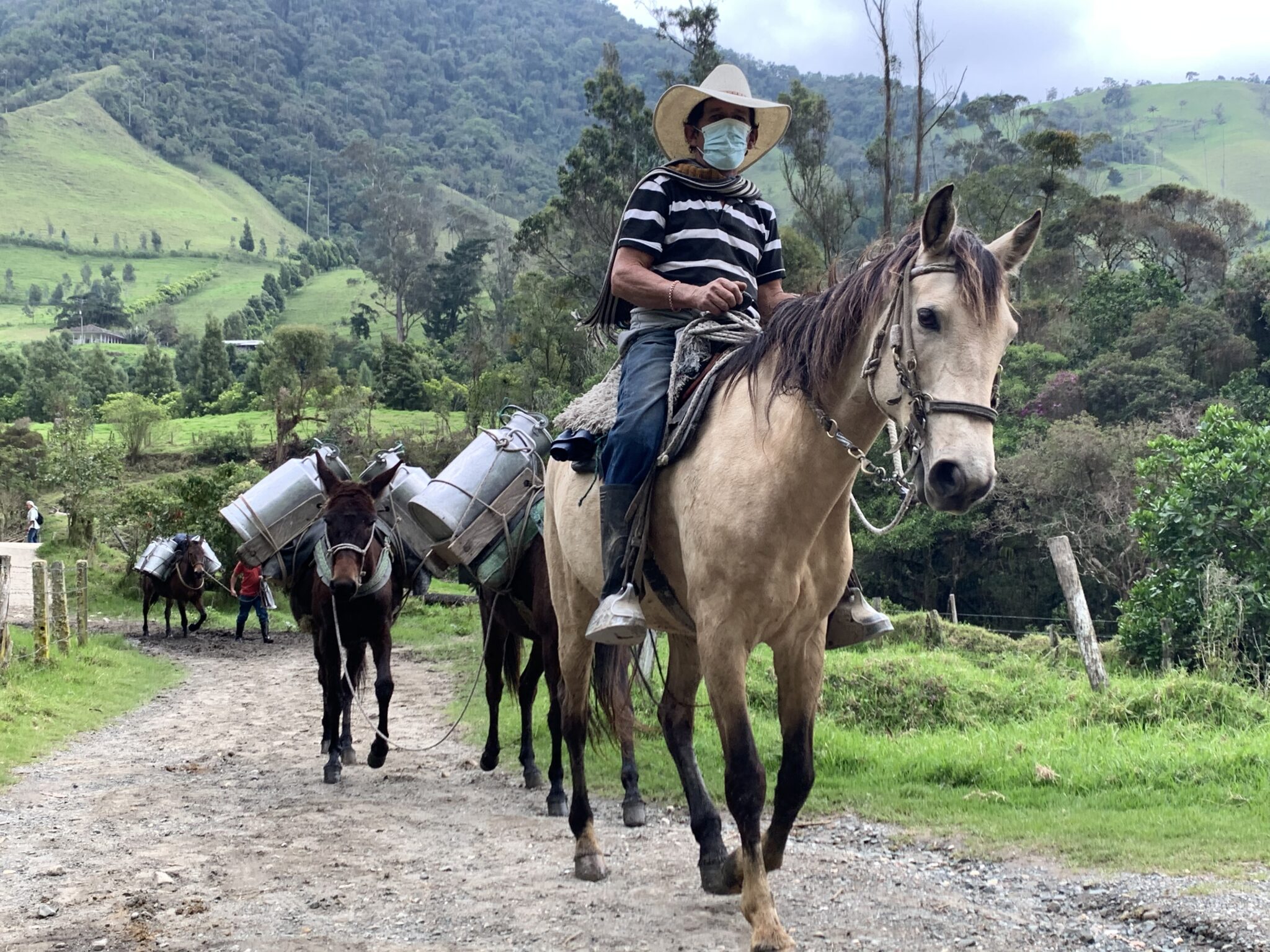 Rural Adaptation (Salento, 2021)