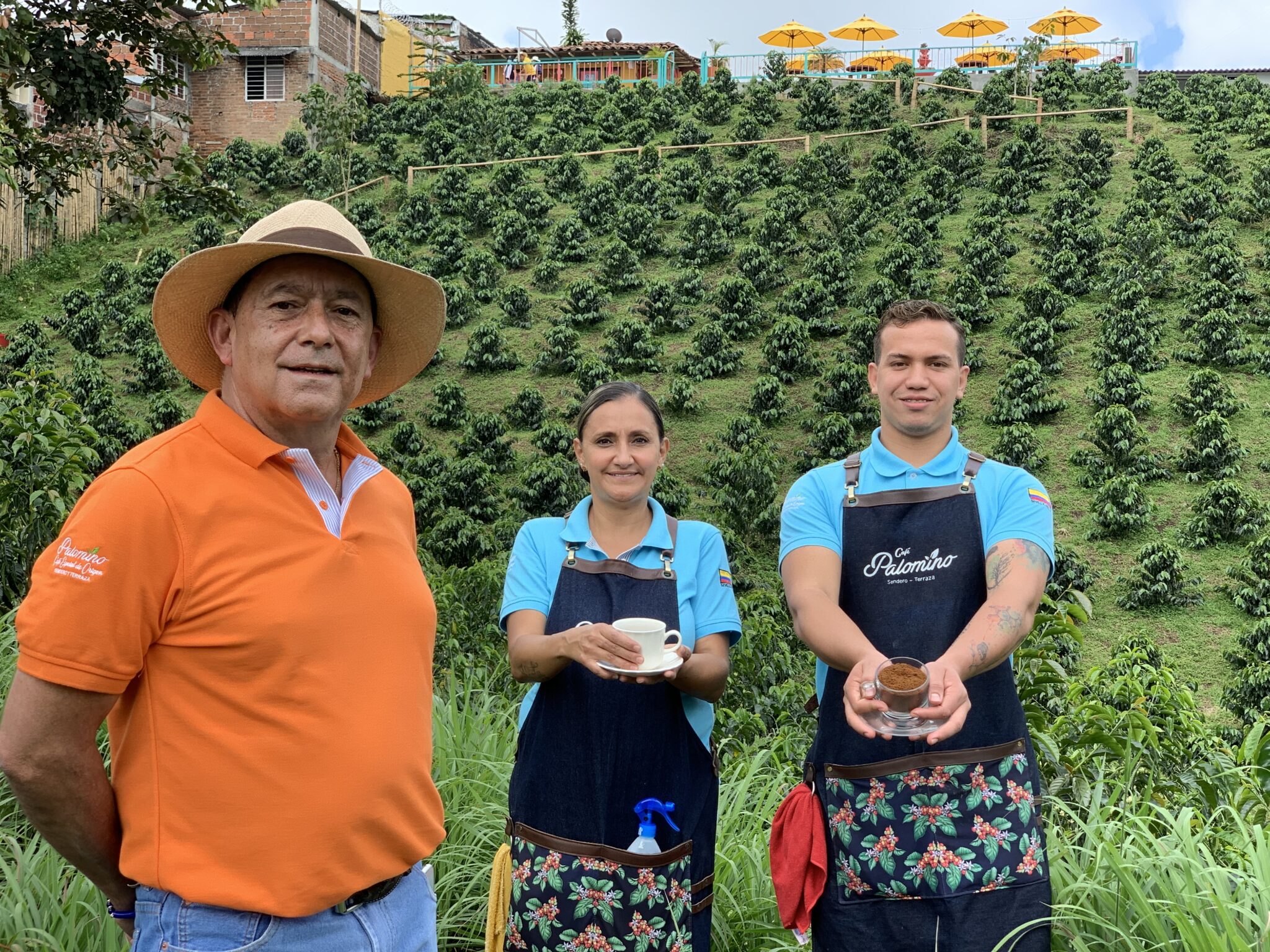 Coffee Tradition (Sevilla, Valle, 2021)