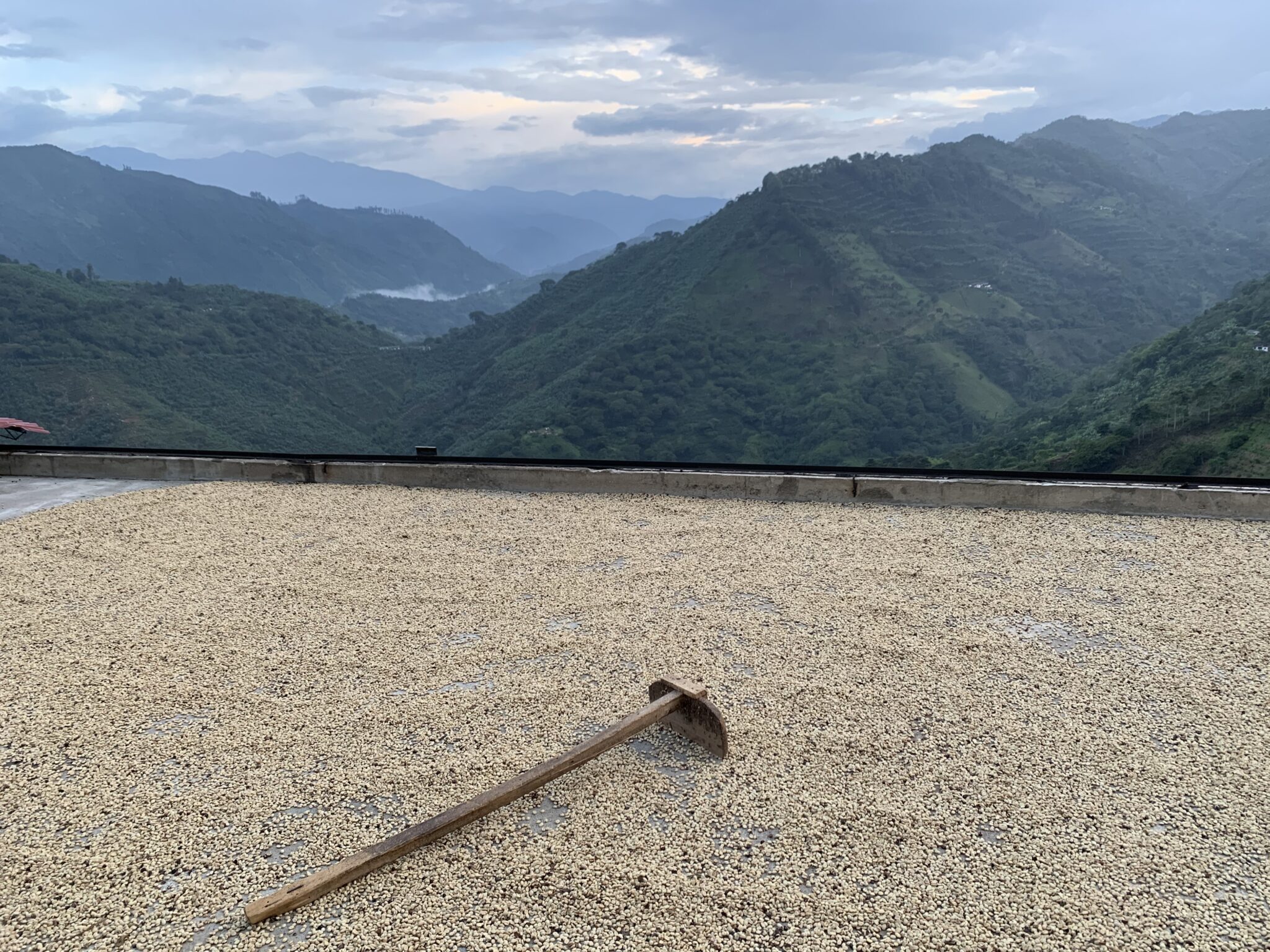 Colombian Coffee Mountains (2017)