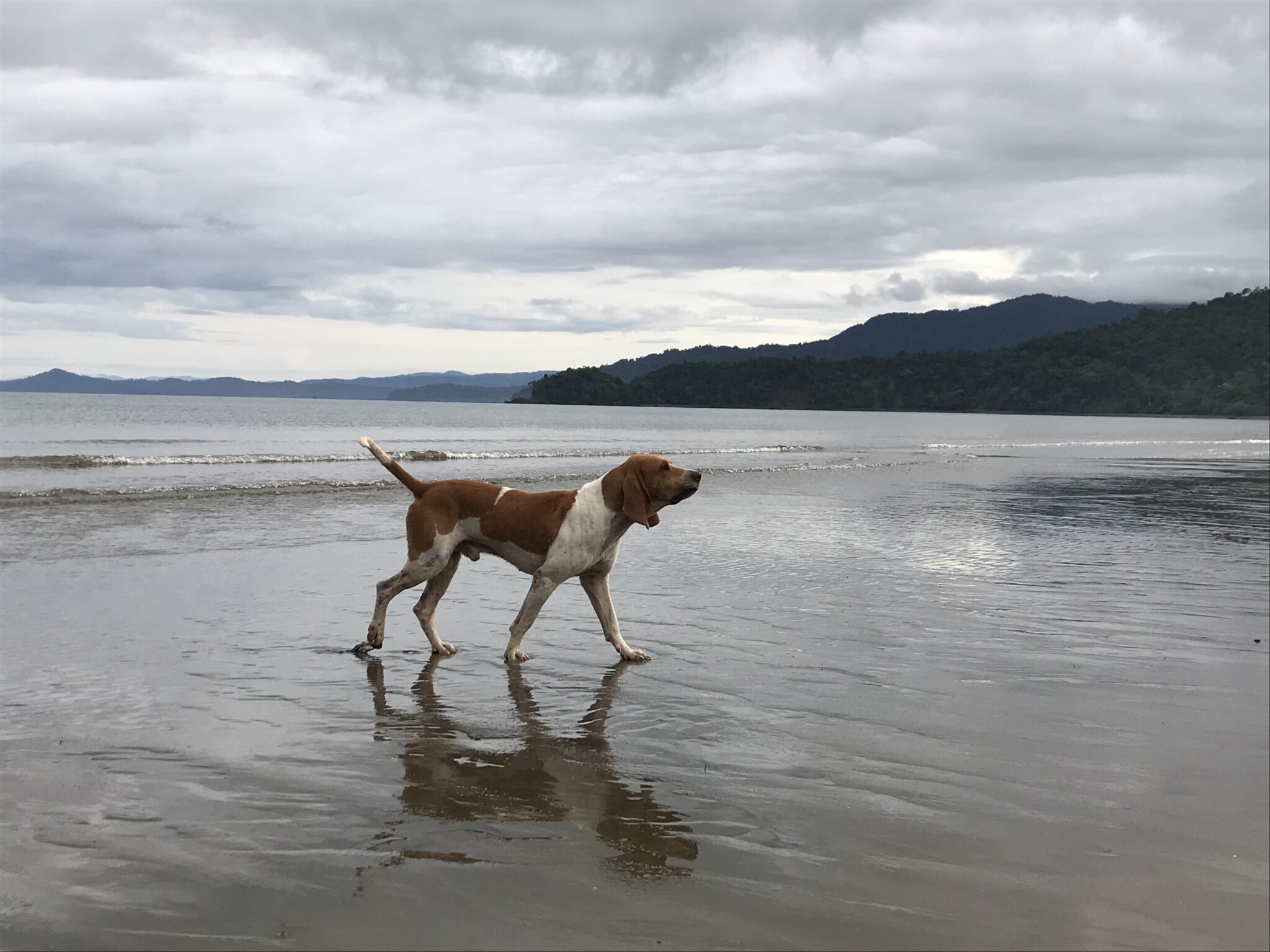 Betino in the Water (2016)